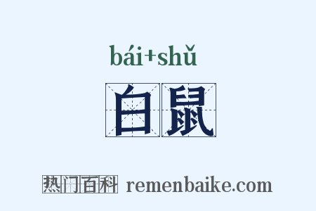 白鼠是什么意思的图片